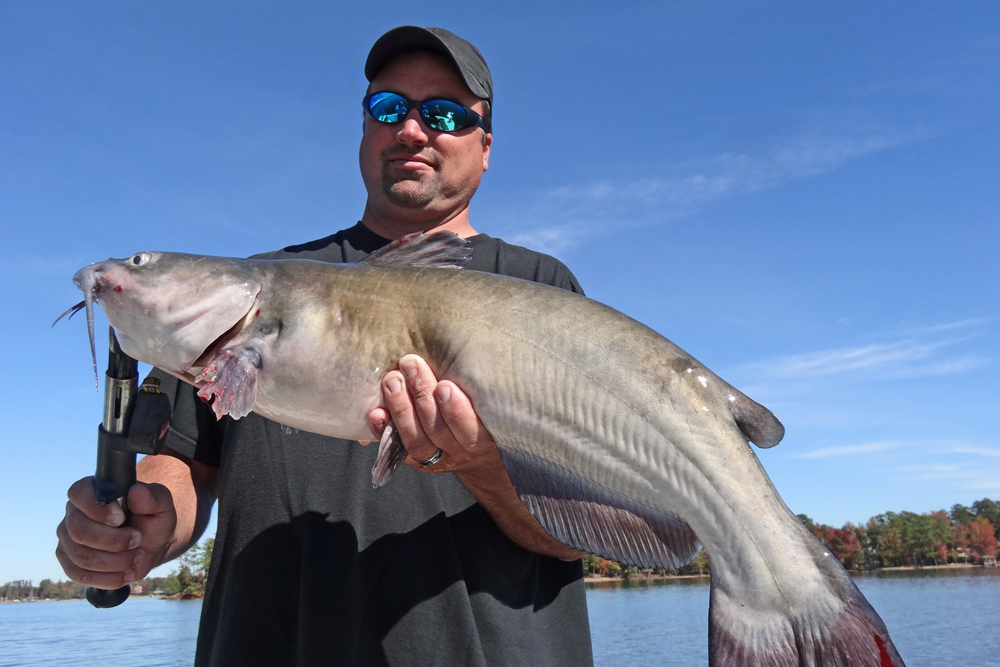 Stinkbaits for Channel Catfish  Story and photos by Terry Madewell