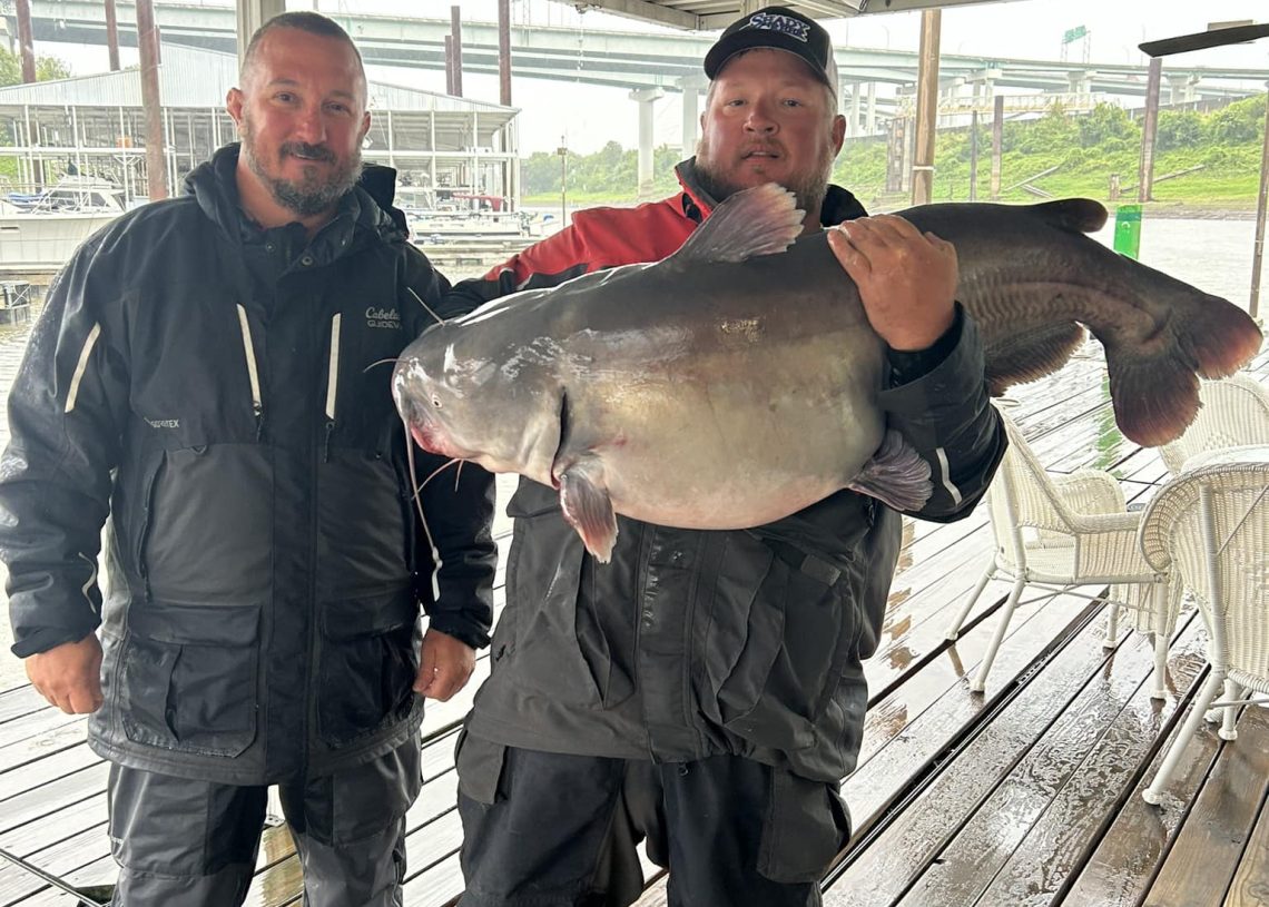 intermediate, catfish, catfishing,  SeaArk Boats, BnM Fishing, Mississippi River Monsters, Mississippi River, Memphis, bumping, anchoring, current, skipjack, George Young Jr., Bill Dance, Brooks Wilbanks, Chad Vice, Dustin Jones, Delmar Wagler, Justin Arthur, Kevin Childress, Jenny Tholl, Dusty Tholl, Rob Parsons, Carl Morris, John Troutt, Jimmy Burton, Logan Tanner, Jason Masingale, Daryl Masingale, Matt Bingham, Jeff Dodd, Randy Dodd, Bill Dance, Billy Littleton, Bobby Littleton, Brad Stout, Alex Nagy, Brandon Schadt, Charles Blair, Cedric Poynor, Wayne Reed, Casey, Larry Muse, Ricky Eislet