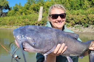 A healthy channel cat taken from the Red River by one of Capt. Brad Durick’s clients. It might look like blue cat on the surface, but Durick says there are no blue catfish in the water he fishes. (Photo: Capt. Brad Durick)