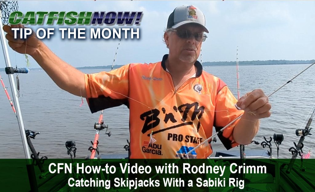 CFN How-to Video—Catching Skipjacks With a Sabiki Rig with Rodney Crimm