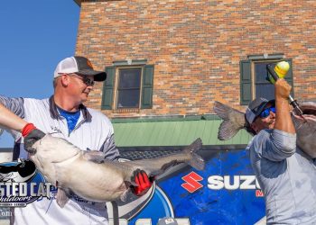 intermediate, catfish, catfishing, blue cat, channel cat, flathead, SeaArk Boats, Twisted Cat Outdoors, Alex Nagy, Tom Stolze, Liz Nagy, Mississippi River, Hunter Jones, Justin Shepard, Charles LaPlant, Mike Davis, Nooner Hall, Les Thompson, Trenton Thompson, Tom Petrowski, Damian Clark, Aaron Jarrell, Dennis Casey