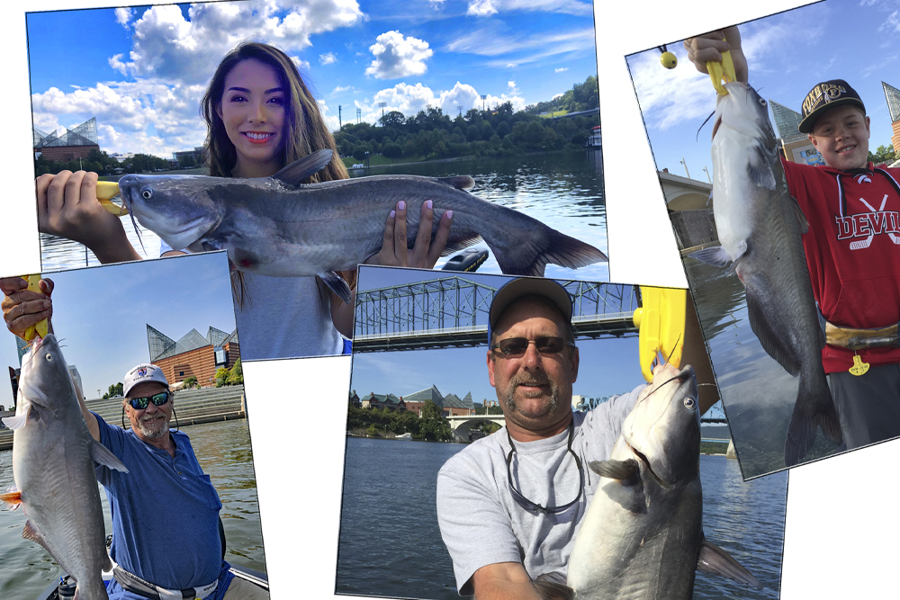 Head Downtown for Urban Catfishing by Capt. Richard Simms