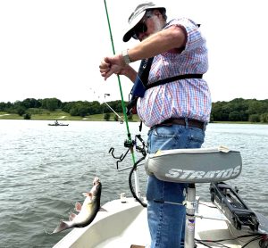 Doug Piper swung a channel catfish into the boat on a recent outingon Lake Jacomo near Kansas City, Missouri.