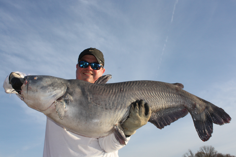 Catfishing Urban Lakes Story and Photos by Terry Madewell