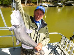 Guide Rodger Taylor uses urban development to his advantage by fishing remote targets away from boat traffic. 