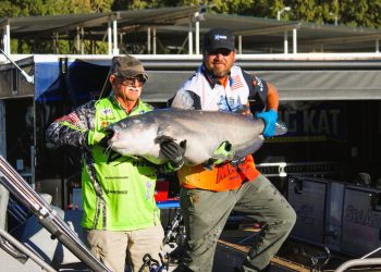 intermediate, catfish, catfishing, channel cats, King Kat, Bob Denen, Olivia Osteen, Scott Peavy, David Shipman, Donnie Fountain, Lonnie Fountain, Joe Carter, Janet Carter, Mike Mitchell, Rick Sexton, Cindy White, Bill White, Anthony Brown, Lesley Fisher, Mike Mitchell, Rick Sexton, Eric Jenkins, Ken Luttrell