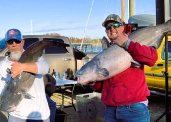 Intermediate, catfish, catfishing, blue catfish, flathead catfish, channel catfish, tournament, Blacks Camp Big Cat Shootout, Mark Coburn, Ralph Willey, Tonja Elliot Willey, Chuckie Ouvry, Alice Coborn, Daniel Goggin, David Kingsmore, Bradley Tucker, Donnie Fountain, Barry Moore, Les Pence, Riley Pence, Anthony Williams, Jeff Ludlam, Anthony Williams, Kyle Leggette