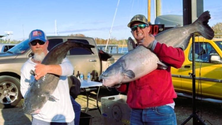 Intermediate, catfish, catfishing, blue catfish, flathead catfish, channel catfish, tournament, Blacks Camp Big Cat Shootout, Mark Coburn, Ralph Willey, Tonja Elliot Willey, Chuckie Ouvry, Alice Coborn, Daniel Goggin, David Kingsmore, Bradley Tucker, Donnie Fountain, Barry Moore, Les Pence, Riley Pence, Anthony Williams, Jeff Ludlam, Anthony Williams, Kyle Leggette