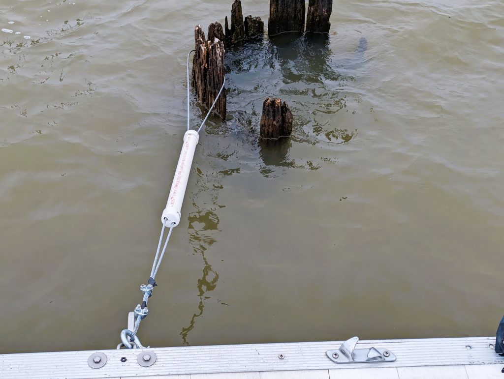 Stump Jumpin’ for Winter Cats Story and photos by Terry Madewell ...