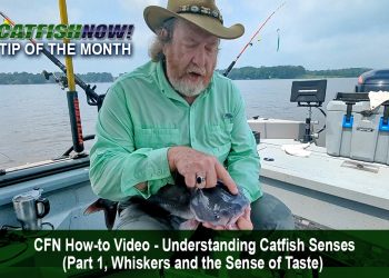 CFN How-to Video with Keith “Catfish” Sutton