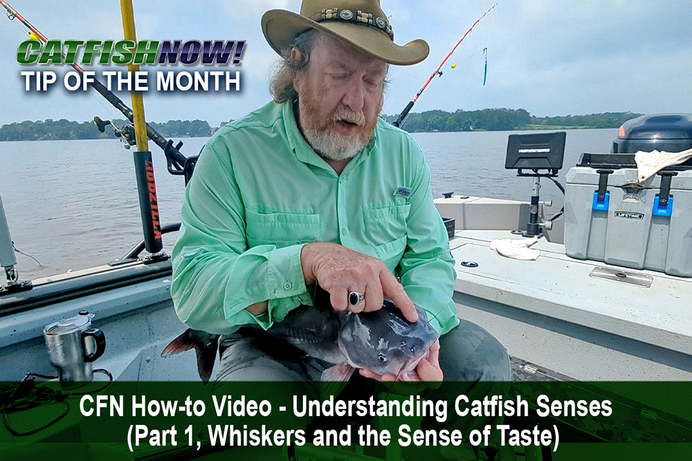 CFN How-to Video with Keith “Catfish” Sutton