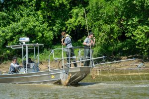 Ohio Division of Wildlife personnel in action while sampling catfish during the agency’s migration study. (credit: Ohio Division of Wildlife)