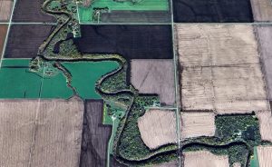 Aerial photo of a typical section of the Wild Rice River. Prairie rivers are young and display a tremendous amount of sinuosity and resulting holes for catfish.