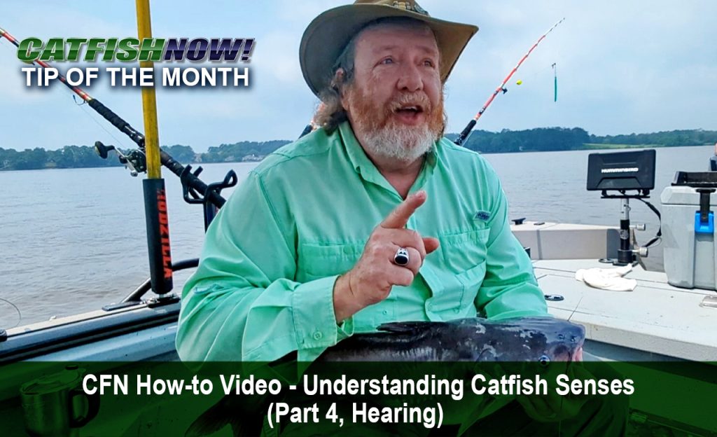 CFN How-to Video with Keith “Catfish” Sutton