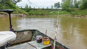 It is always a good idea to carry a variety of dip baits and to rotate them until that day’s winner is hit. You never know what the fish will prefer.