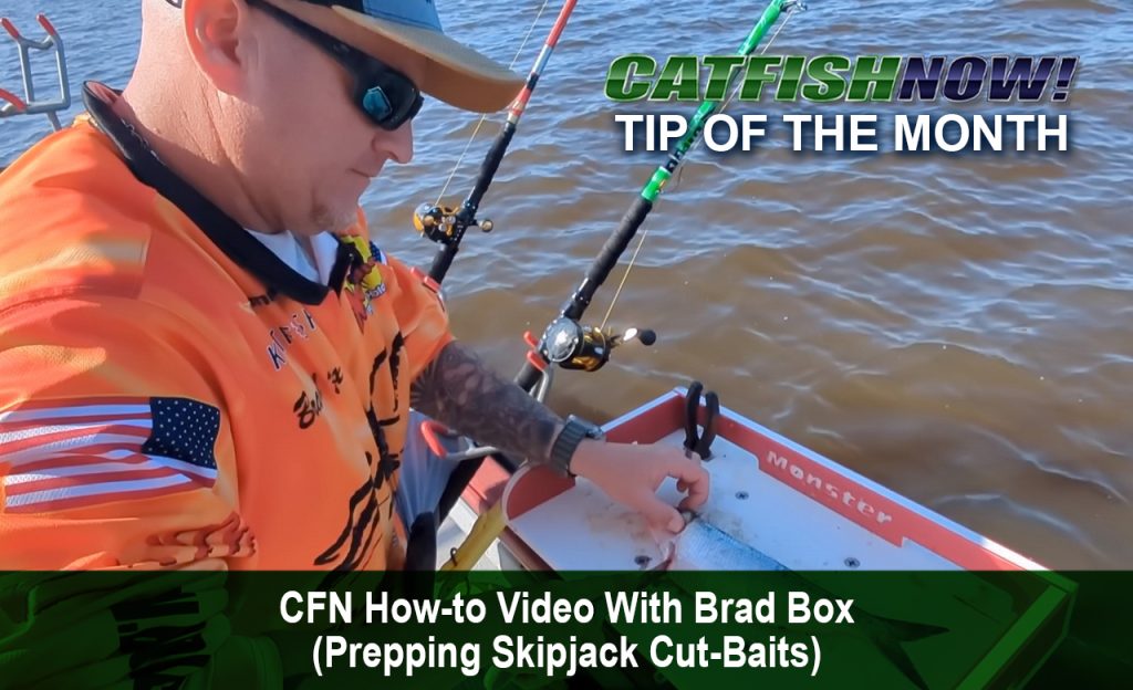 CFN How-to Video with Brad Box—Prepping Skipjack Cut-Baits