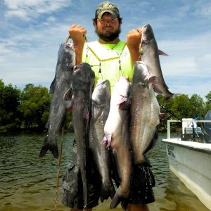 Guide Justin Whitesides with blues from Lake Wateree; big catfish are possible, plus the lake is full of chunky blue catfish.