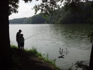 Poplar Tree Lake in Tennessee’s Meeman-Shelby Forest State Park provides bank and boat fishing for catfish, as well as bass and bluegills. A special lake permit fee is required for fishing and a launch fee is charged for personal johnboats, canoes and kayaks.