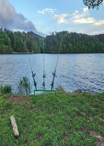You do not have to have a boat to catch either some flatheads to eat or even some trophy-sized fish. You just need some access to a riverbank close to some structure that might hold those fish. (Rodney Crimm photo)