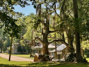 The fictional town of Spectre from the movie “Big Fish” still resides on Jackson Lake Island as a tourist stop for anglers and visitors.