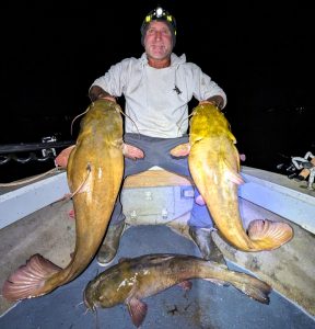 Fat flatties often bite in bunches at night and are typically caught shallower when foraging during the nocturnal hours.