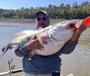 Jamie Bardsley of Arkansas caught this 93-pound blue catfish bumping around some heavy wood structure in the Mississippi River. This technique can be highly effective if you are willing to lose some tackle in the process.