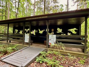 The bird blind on the Alabama Nature Center complex lets visitors learn about the many species that frequent the area.