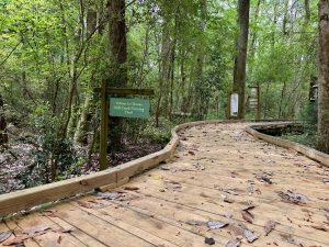 A five-mile boardwalk through the property takes visitors to viewing areas, observation decks and wetlands.