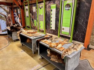 The Discovery Hall at the Alabama Nature Center provides hands-on education about the land and aquatic natural resources in the area.
