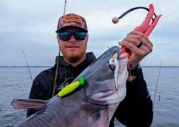 Kyle Austin said catfish and bass share many qualities, and fishing for both species makes him a better fisherman.