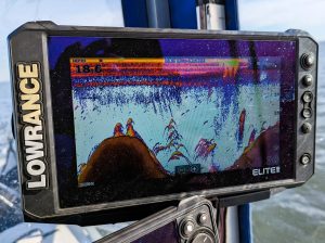 Humps, channels, ledges and forage are all indicators for finding catfish.