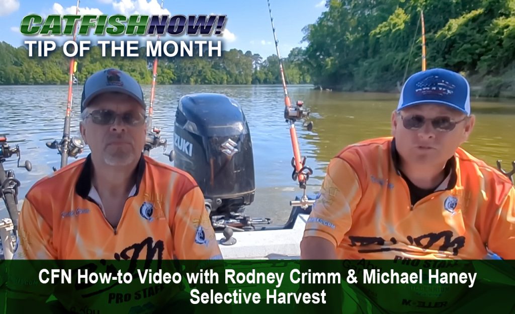 CFN How-to Video with Rodney Crimm & Michael Haney—Selective Harvest