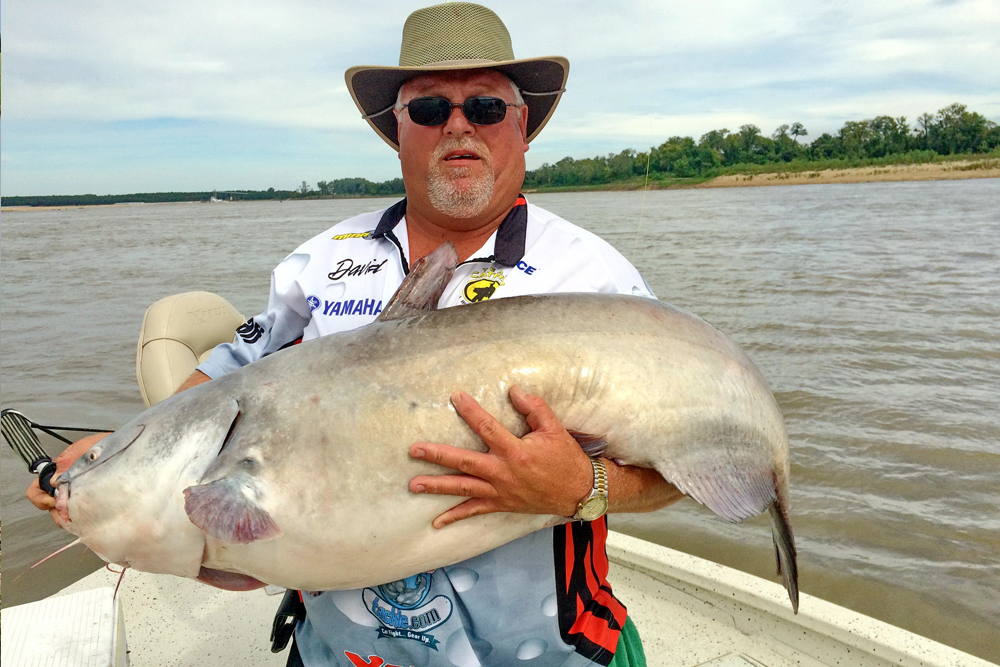 Big River, Big Blue Cats By Brent Frazee