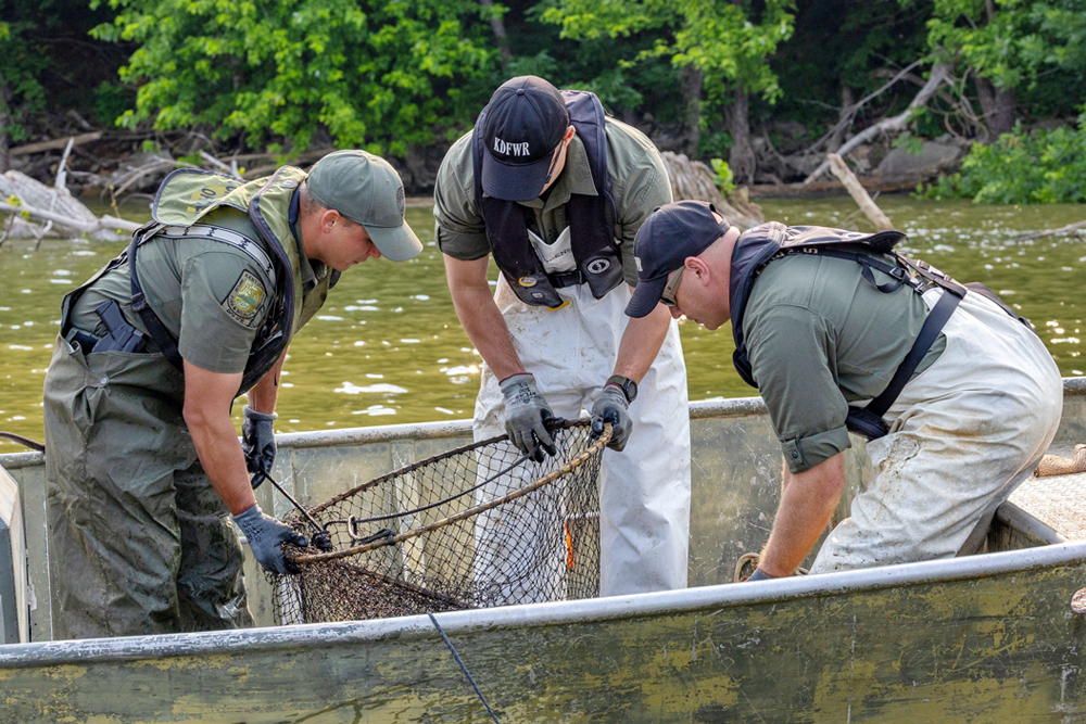 Operation River Raid