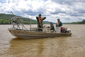 This flathead catfish turned up during population surveys on the Ohio River conducted by the Ohio Division of Wildlife Fisheries Management Team.