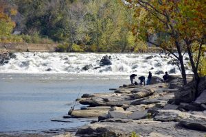 The Rochester Dam on Kentucky’s Green River is one of the hundreds of abandoned dams across the United States that still provide catfishing opportunities. Anglers not wanting to fish from lock walls can often find locations to fish along the bank.