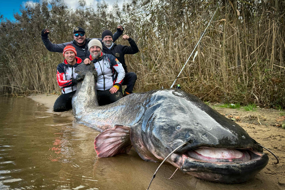Almost 10-Foot Catfish Caught in Poland Source: Polska Akademia Wędkarska