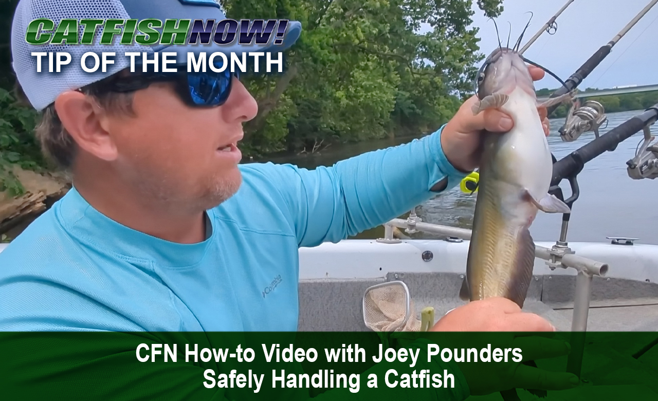 CFN How-to Video with Joey Pounders—Safely Handling a Catfish - Catfish Now