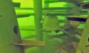 From a catfish’s view, this MossBack Fish Habitat looks like home. Photo courtesy of MossBack Fish Habitat