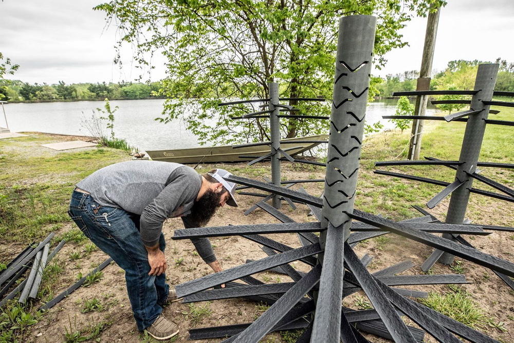 Catfish Cover Works By Brent Frazee