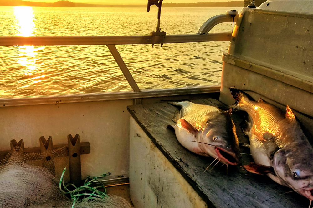 Why I Love Winter Catfishing Story and photos by Terry Madewell