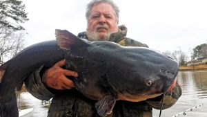 Two cool cats on a cold winter morning; Chuck Porter with a fat cat caught on Lake Wateree in South Carolina. 