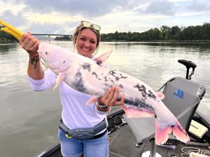 More and more rare piebald blue catfish have been showing up in Chattanooga-area waters in recent years. This one, caught June 30, 2025 by Brittany Sapp, is just one of at least a half-dozen similar catfish caught by Scenic City Fishing Charters clients last year. Photo by Richard Simms