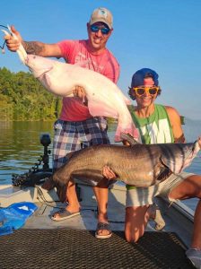Fishing with Capt. Aaron Massey, Mike Parks (standing) and Jamie Hughes doubled up on trophy blue cats, including Mike's leucistic blue, in 2024. Photo courtesy of Aaron Massey