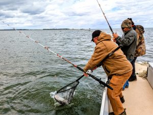 Pole-bending catfish are on the menu year-round and blue, flathead and channel catfish all thrive in this system.