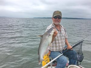 Steve McCadams, an avid angler and guide from Paris showcases a catfish caught in Kentucky Lake. (Photo by Steve McCadams)