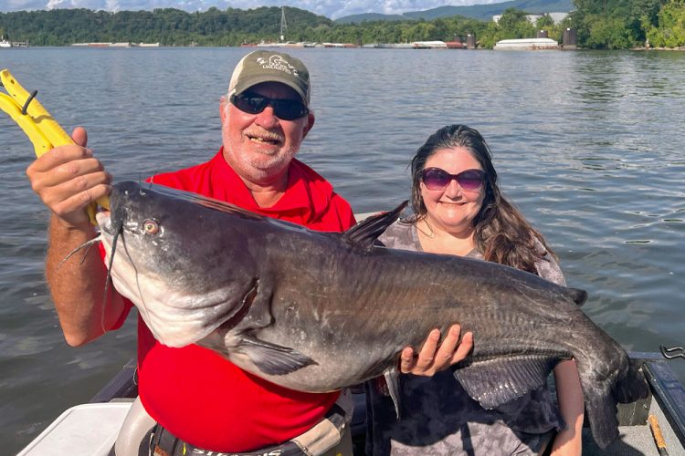 Capt. Richard Simms hefts a big catfish caught by Blair Dunigan on a light-tackle rig below the Chickamauga Dam. This rig is a versatile tool for Simms.