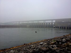 The water levels and amount of current can vary greatly, even on a daily basis, below hydroelectric dams such TVA’s Chickamauga Dam in Chattanooga, Tennessee. The flow is often dictated by power demands. You can get short-term predictions of the coming water flow for all TVA dams using TVA’s Lake Level App on your smartphone.