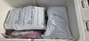 It helps save ice and keep the cooler as cold as possible to use a combination of ice packs and ice to keep bait fresh. Packed like this in a quality cooler, it can keep bait encased for up to a week.