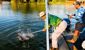 Big blue catfish are caught by anglers who know that details matter.